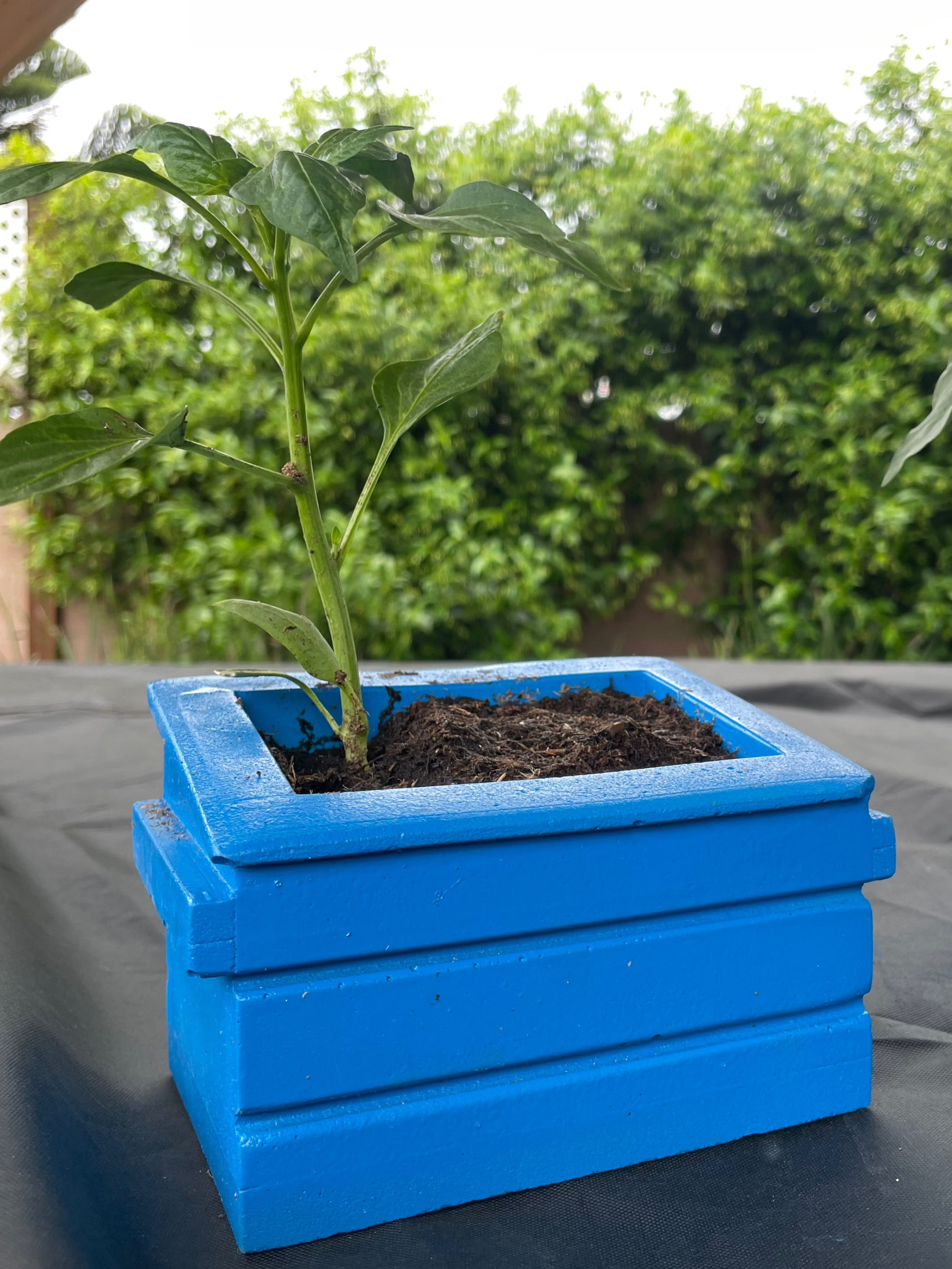 Mini Concrete Dumpster Flower Pot