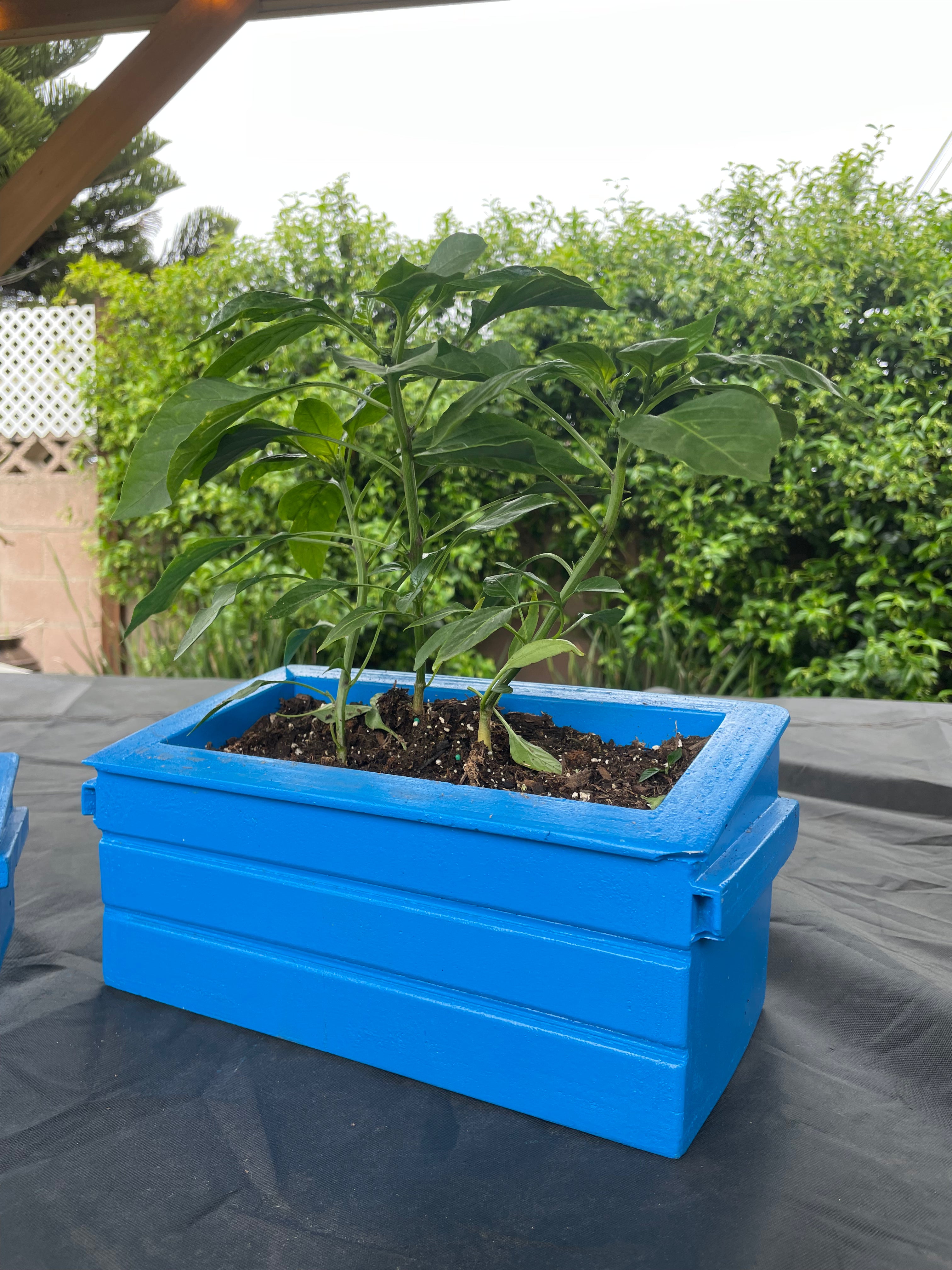 Medium Concrete Dumpster Flower Pot