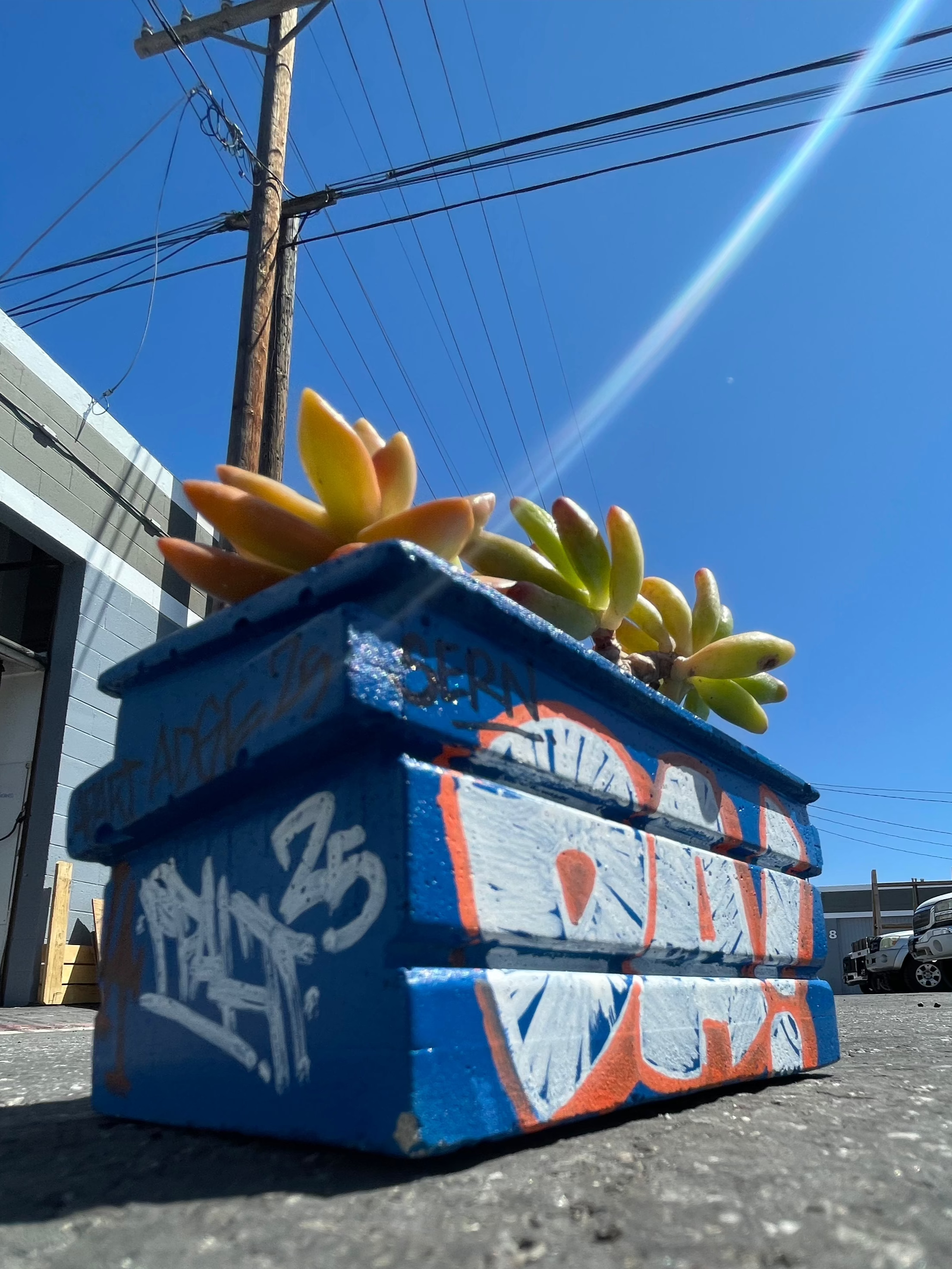 Mini Concrete Dumpster Flower Pot
